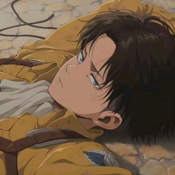 ml profile avatar anime levi